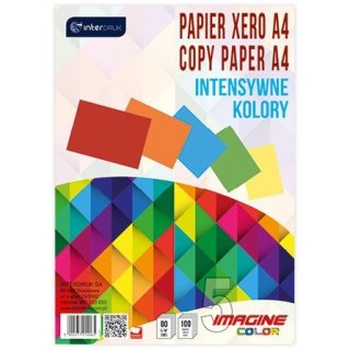 Interdruk Papier kolorowy Interdruk A4 mix 80g (PAKSA4IN)