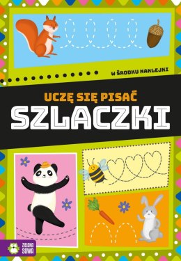 Zielona Sowa Książeczka edukacyjna Zielona Sowa Uczę się pisać. Szlaczki