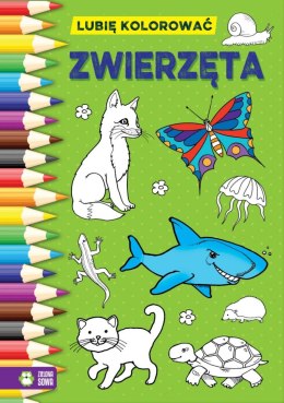 Zielona Sowa Książeczka edukacyjna Zielona Sowa Lubię kolorować. Zwierzęta