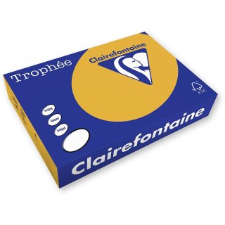 Trophee Papier kolorowy Trophee A4 brązowy wielbłądzi 80g (xca41879)