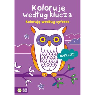 Zielona Sowa Książeczka edukacyjna Zielona Sowa Koloruję według klucza. Koloruję według cyferek