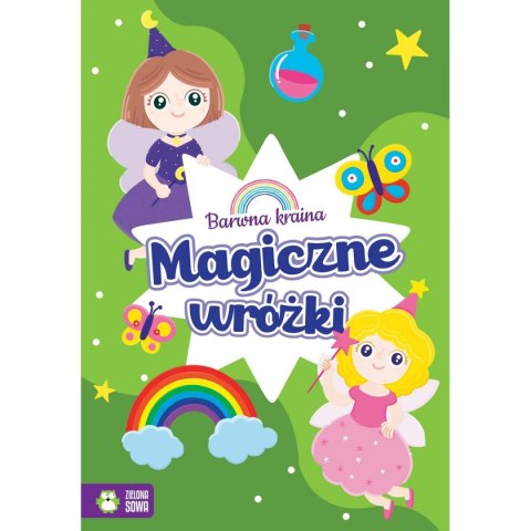 Zielona Sowa Książeczka edukacyjna Zielona Sowa Barwna kraina. Magiczne wróżki