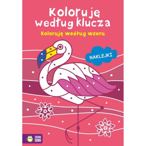 Zielona Sowa Książeczka edukacyjna Zielona Sowa Koloruję według klucza. Koloruję według wzoru