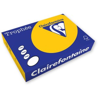 Trophee Papier kolorowy Trophee A4 złoty 80g (xca41780)