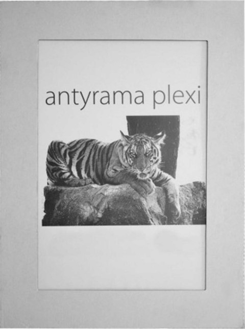 Raw-West Antyrama Raw-West plexi plexi [mm:] 600x800