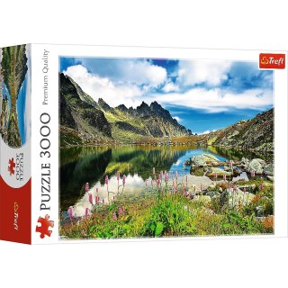 Trefl Puzzle Trefl STAROLEŚNIAŃSKI STAW 3000 el. (33031)