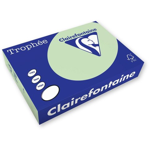 Trophee Papier kolorowy Trophee A3 zielony 80g [mm:] 420x297 (xca31882)