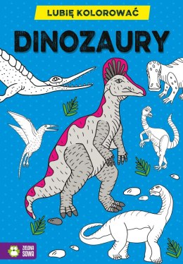 Zielona Sowa Książeczka edukacyjna Zielona Sowa Lubię kolorować. Dinozaury