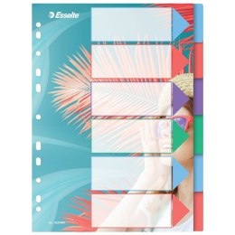 Esselte Przekładka czysta Esselte Colour Breeze A4 mix 6k (628499)