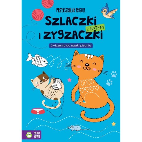 Zielona Sowa Książeczka edukacyjna Zielona Sowa Przedszkolak rysuje. Szlaczki i zygzaczki z kotem