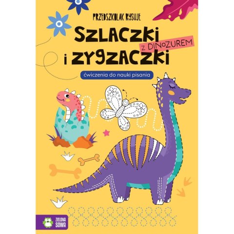 Zielona Sowa Książeczka edukacyjna Zielona Sowa przedszkolak rysuje. Szlaczki i zygzaczki z Dinozaurem