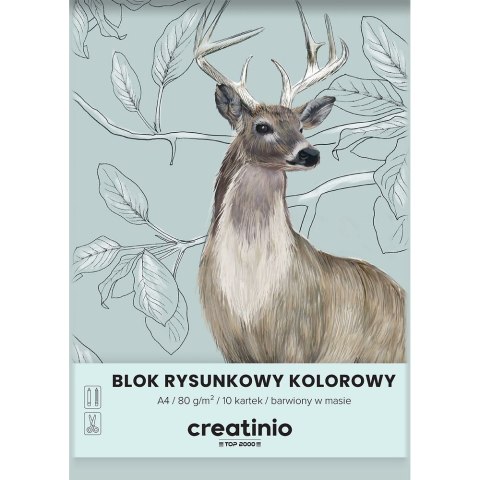 Top 2000 Blok rysunkowy Top 2000 A4 kolorowy 80g 10k (400176665)