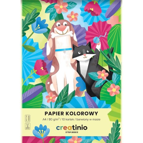 Top 2000 Papier kolorowy Top 2000 Creatinio A4 mix 80g (400176684)