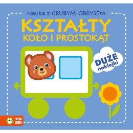 Zielona Sowa Książeczka edukacyjna Zielona Sowa Nauka z grubym obrysem. Kształty. Koło i prostokąt