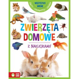 Zielona Sowa Książeczka edukacyjna Zielona Sowa Wszystko wiem! Zwierzęta