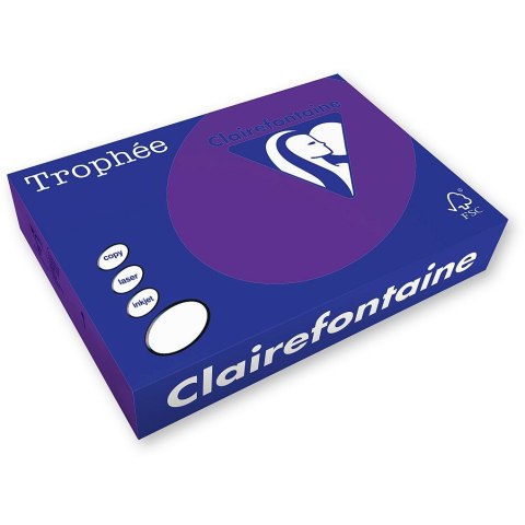 Trophee Papier kolorowy Trophee kolorowy A4 fioletowy 160g (xca41018)