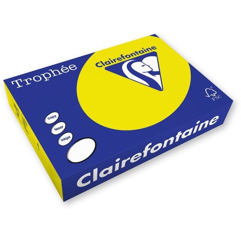 Trophee Papier kolorowy Trophee A4 słoneczny 210g (2210)