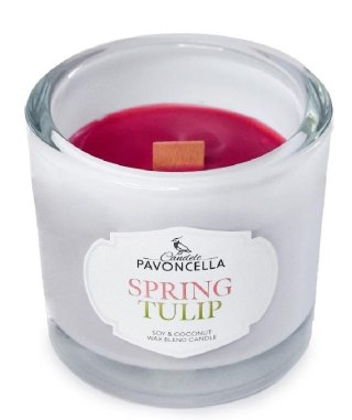 Pavoncella Świeczka ozdobna Pavoncella Classico Spring Tulip biała 170g (5905711530974)