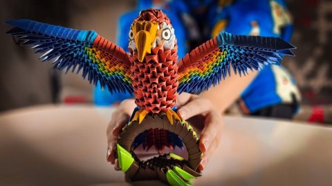 Alexander Origami Alexander Papuga/Parrot